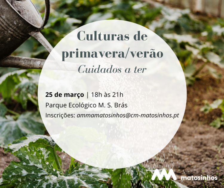 Culturas de primavera / verão