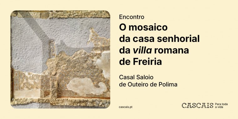 Encontro: O mosaico da casa senhorial da 'villa' romana de Freiria