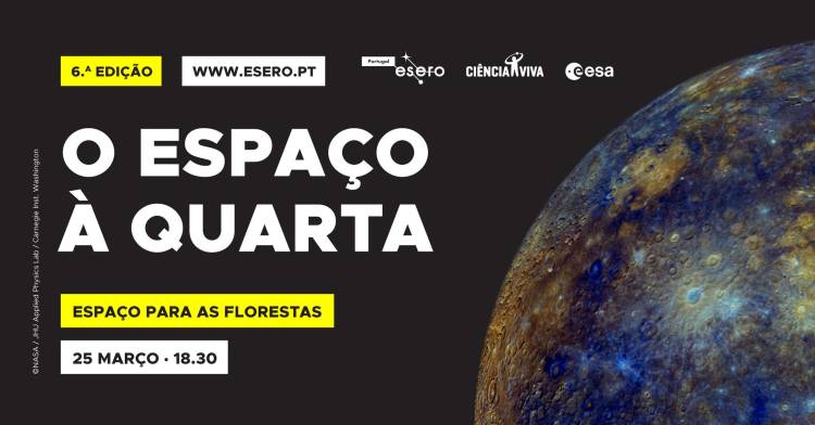 Espaço à Quarta - Espaço para as florestas