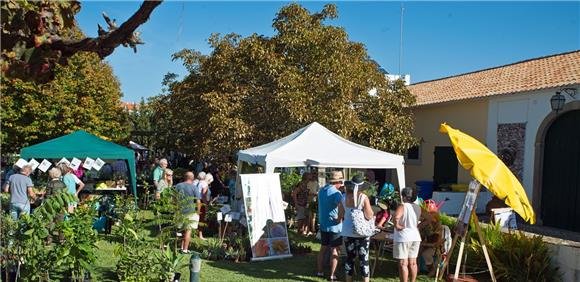 Feira de Plantas