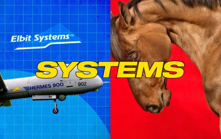 index 2026 — road runner , por cemile sahin