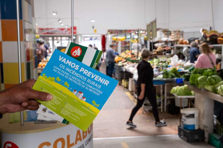 Campanha de Limpeza de Terrenos Obrigatória - Ação de Sensibilização