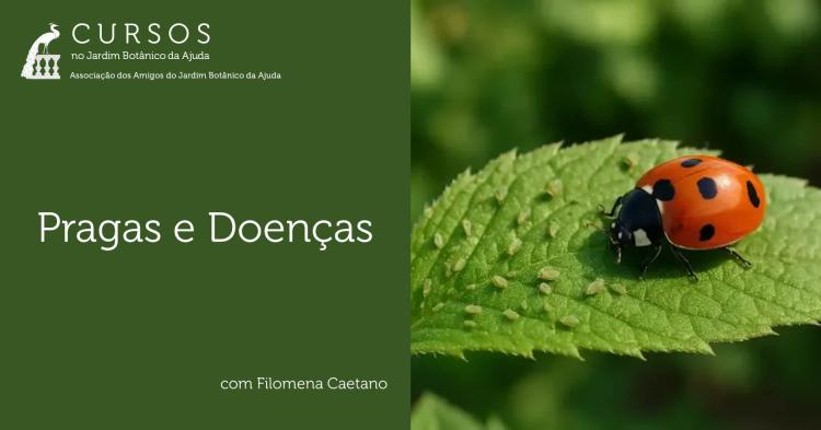 Pragas e Doenças