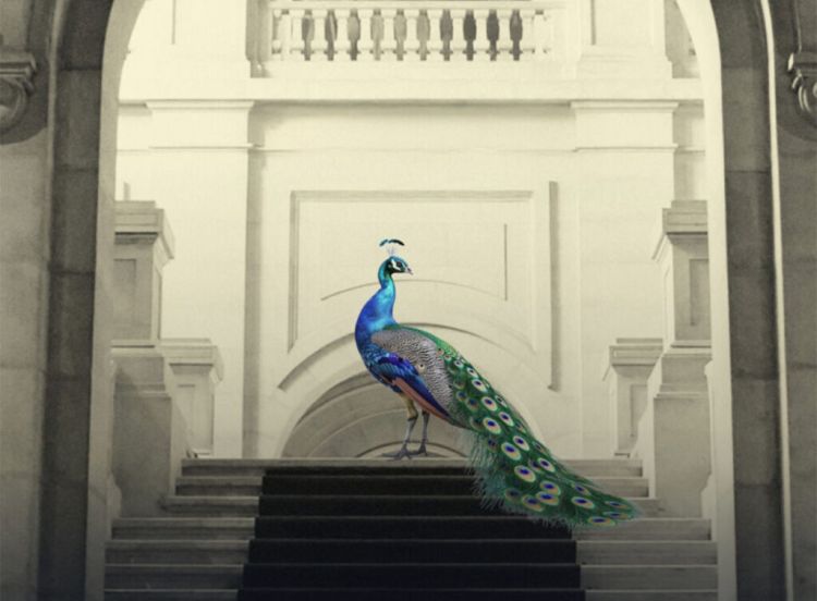 O Palácio de Cidadãos