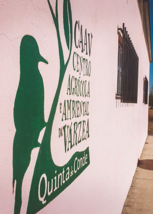 Workshop Jardins Verticais