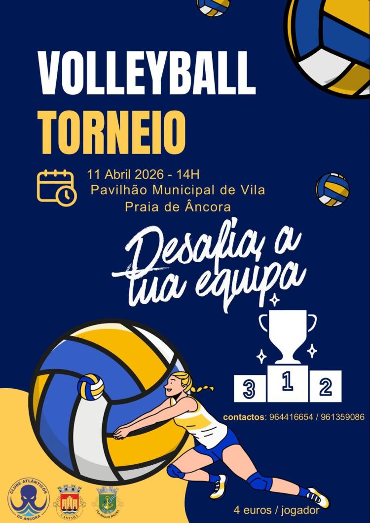 VOLLEYBALL TORNEIO