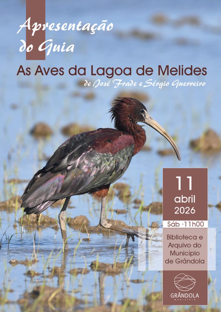 TURISMO | Apresentação pública do Guia «As Aves na Lagoa de Melides» de José Frade e Sérgio Guerreiro