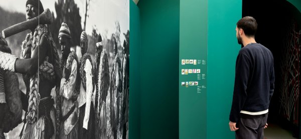 Código Noite – Comunicar é Natural – A Botânica nas Comunicações