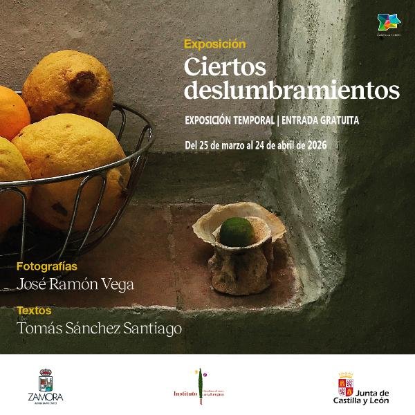 'Ciertos deslumbramientos'. Zamora