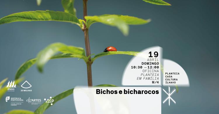 Bichos e Bicharocos - Planteia em Família