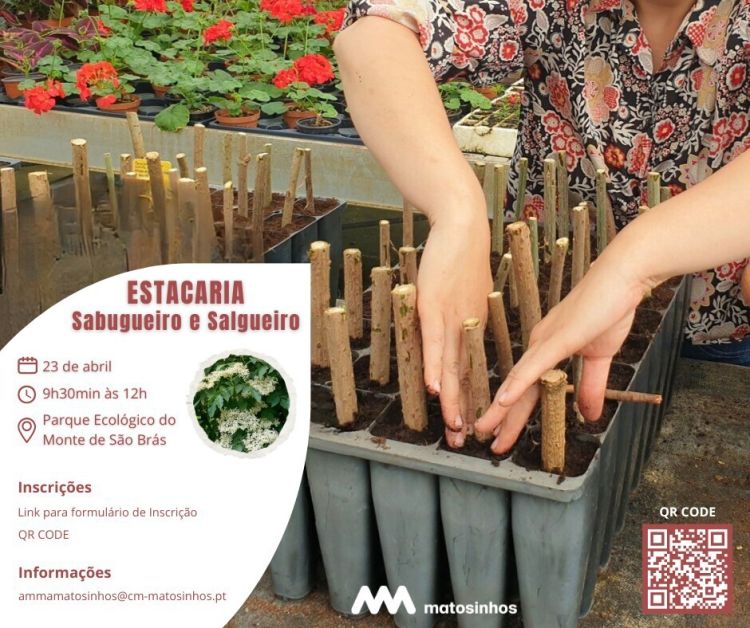 Estacaria Sabugueiro e Salgueiro
