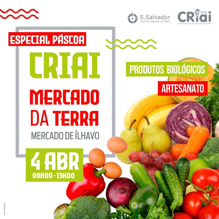 CRIAI e Mercado da Terra