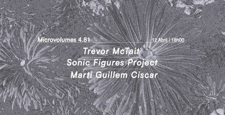 Microvolumes 4.81 |  Trevor McTait | Sonic Figures Project | Marti Guillem Ciscar