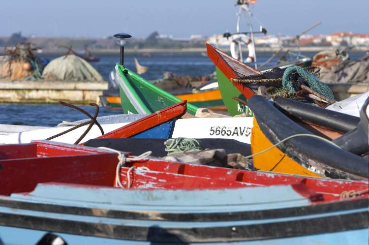 Visitas especiais ao Museu Marítimo de Ílhavo