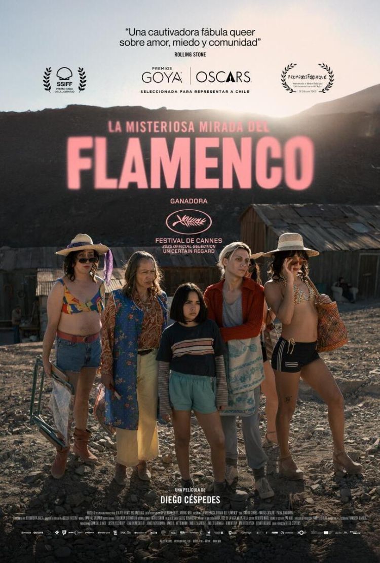 Cine Filmoteca: «La misteriosa mirada del flamenco»