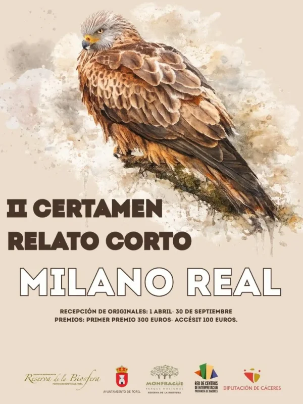 II Certamen de Relato Corto Milano Real