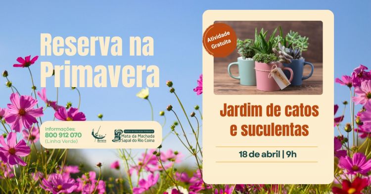 Jardim de Catos e Suculentas - INSCRIÇÕES ABERTAS