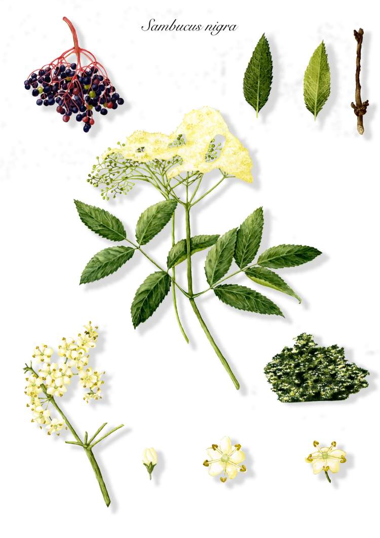 As Cores da Natureza por Centro Interpretativo da Serra da Freita