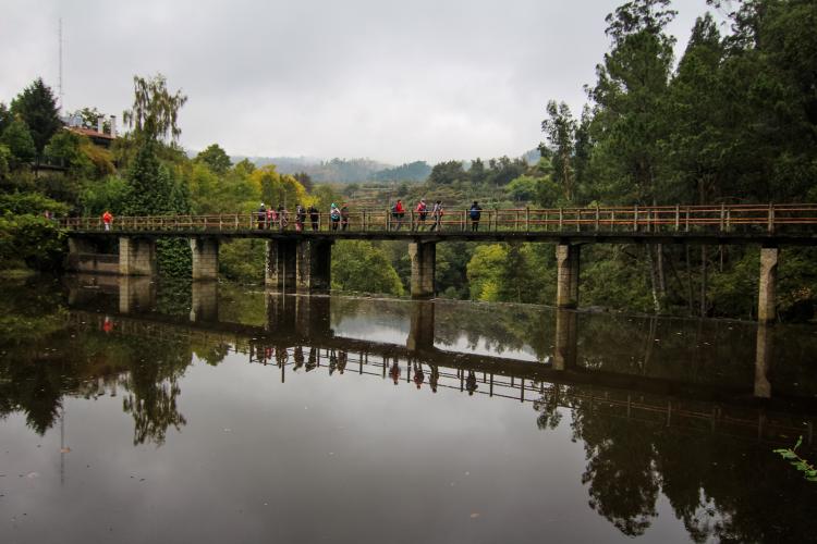 Derivas do Caima Nos trilhos de Záguia Sul