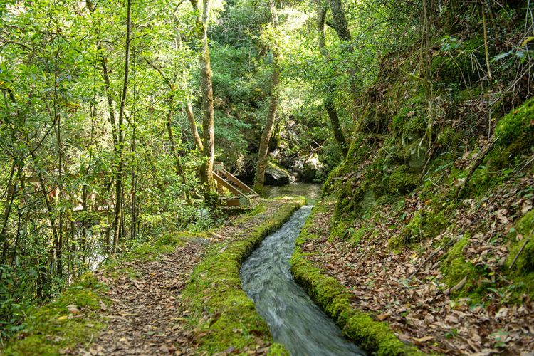 Trilho Levada de Piscaredo (Mondim de Basto)