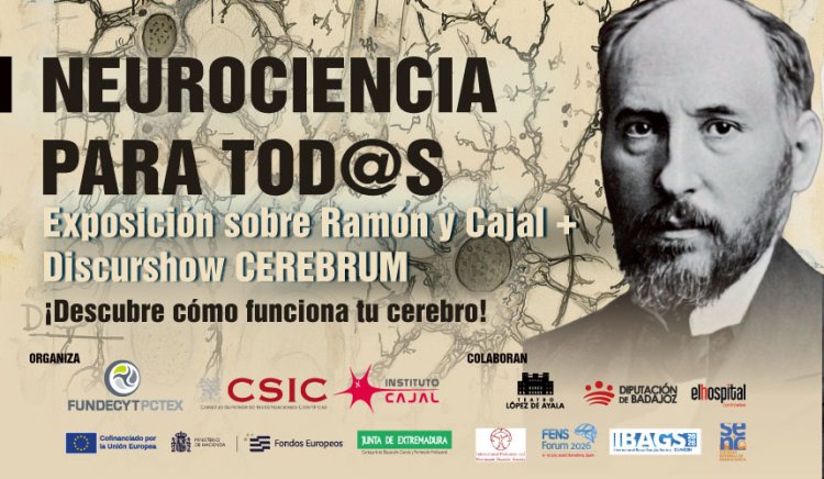 DISCURSHOW CEREBRUM