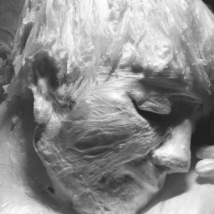 Exposición 'Sentires' Antonio Núñez