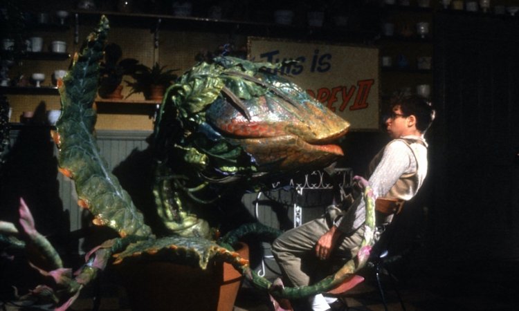 O FIMFA Lx’26 na Cinemateca