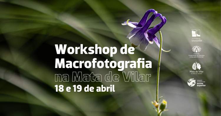 Workshop de Macrofotografia