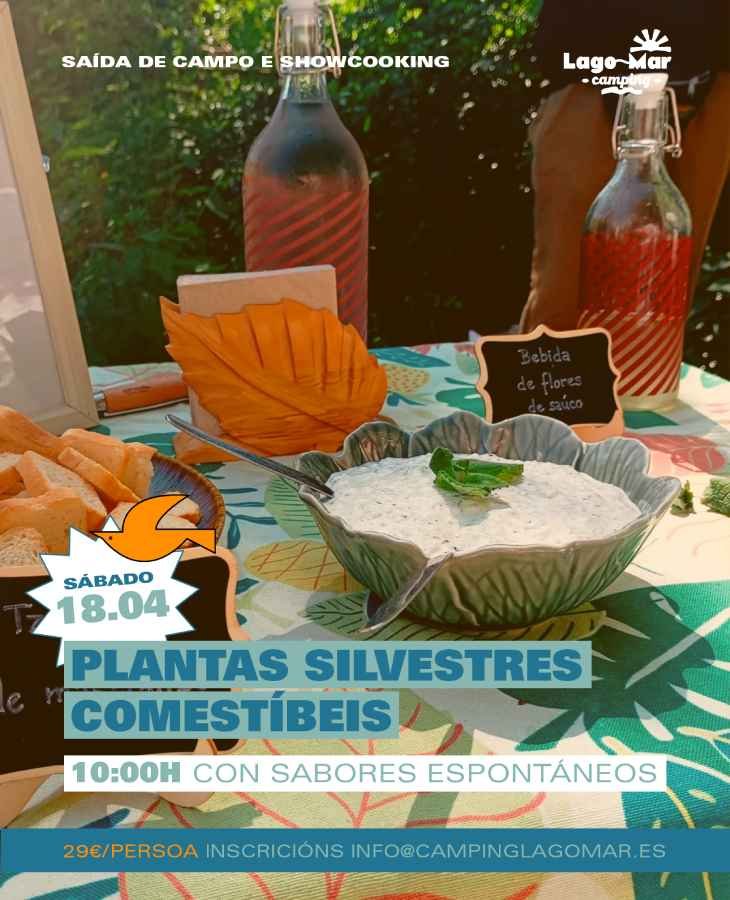 Plantas silvestres comestibles no Camping Lago-Mar