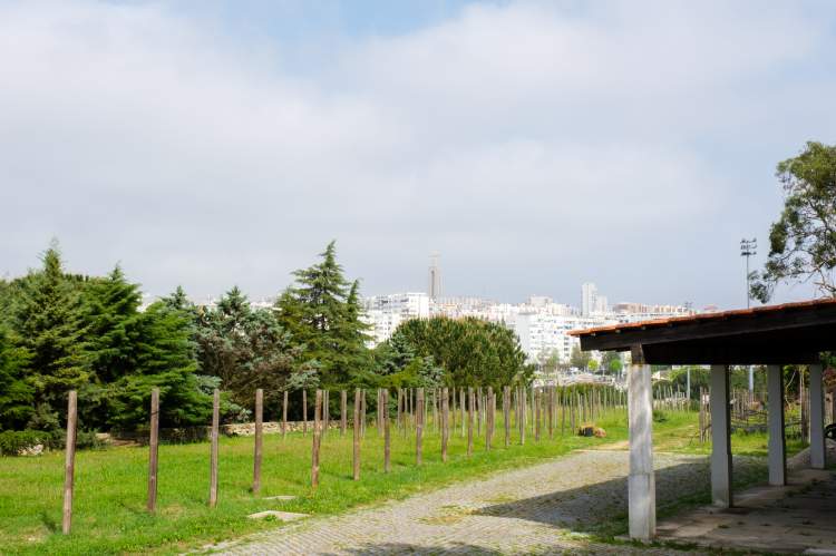 Workshop 'Construa o seu banco'