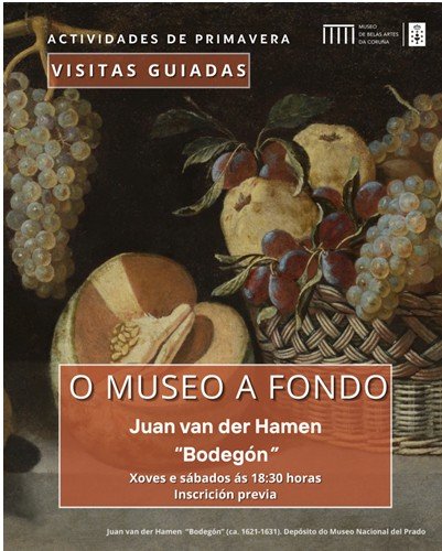 O museo a fondo