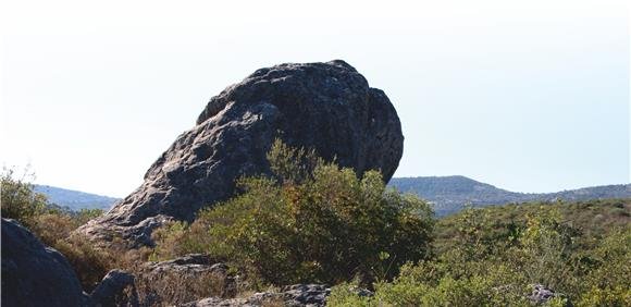 Ciclo de Conversas com História