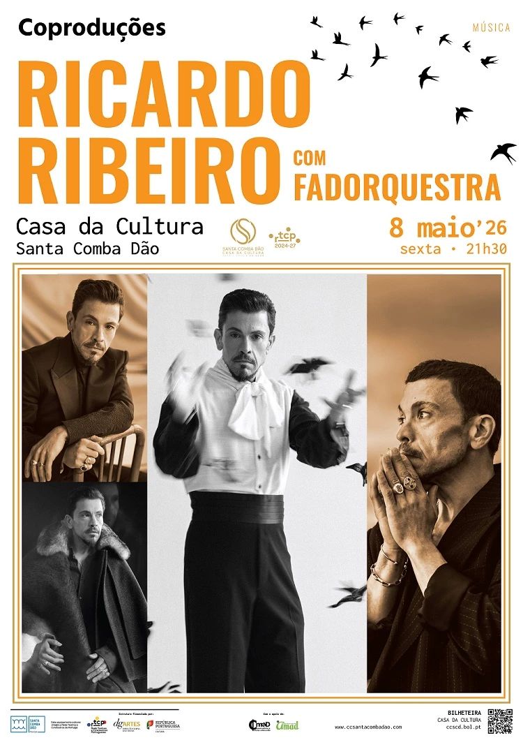 Concerto: Ricardo Ribeiro com Fadorquestra