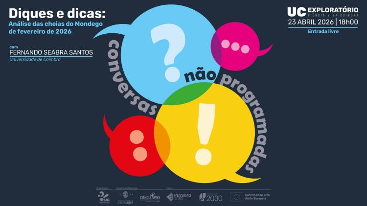 Conversas não Programadas | Fernando Seabra Santos