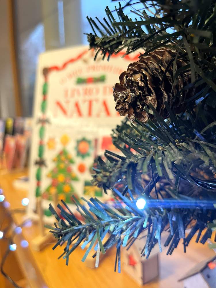 REBULIÇO DE HISTÓRIAS… ESPECIAL NATAL — HORA DO CONTO