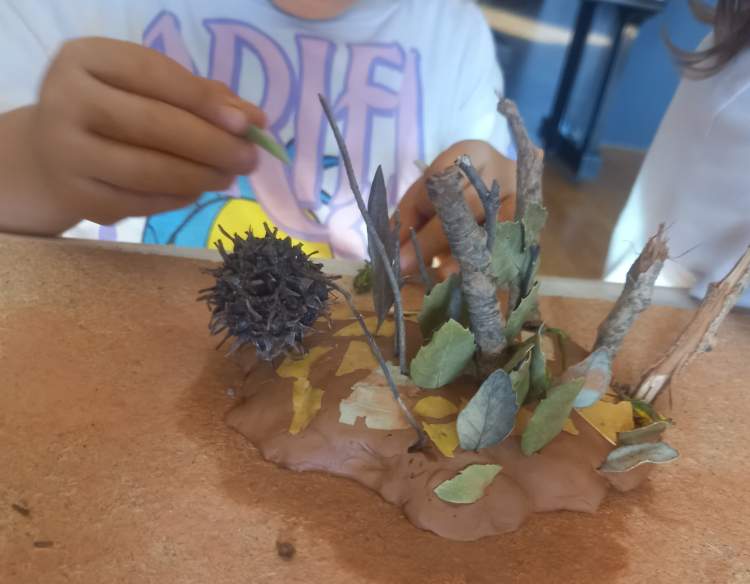 Projeto Curumim - “Universo Particular”