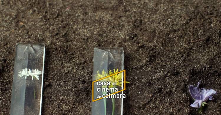 ¿De qué casa eres? (Ana Pérez-Quiroga, EXP, 73' )