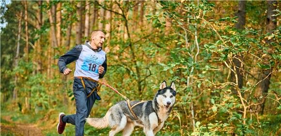 Cãominhada pela Liberdade de abril e Prova de Canicross