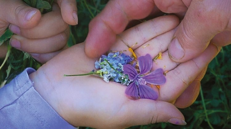 Cinema: Histórias do Vale Bom