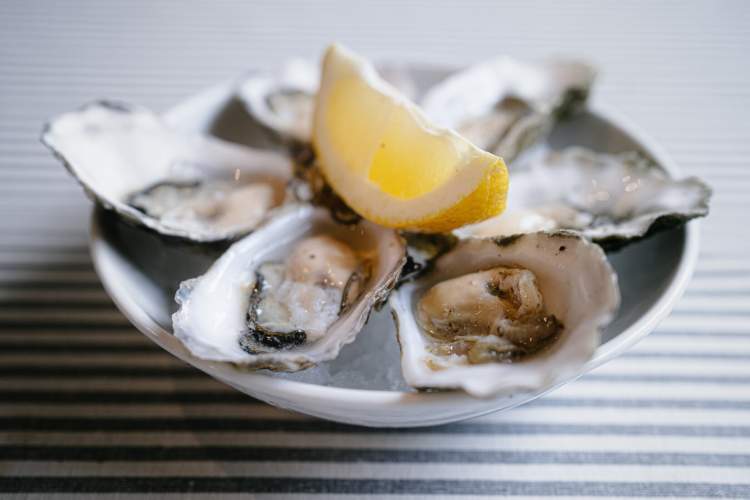 Conversa de Mar e Oficina de Cozinha com Ostras