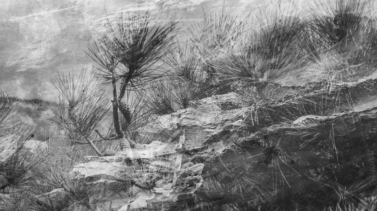 Visita à Exposição 'A Memória dos Pássaros que Não Voam'