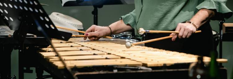 Peixinho é fixe! [mediação cultural]