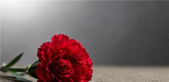 Comemorações do dia 25 de Abril de 1974