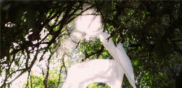 Comemorações do dia 25 de Abril de 1974 - Espetáculo de dança “Quidquid erit, pati”