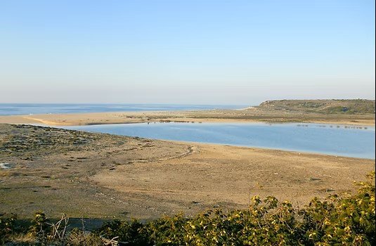 Quando as Areias Florescem: Ecossistemas Dunares da Costa Alentejana
