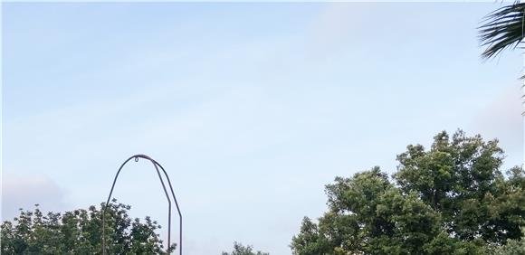 Ciclo de Passeios Natureza 2026