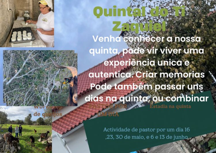 Pastor por uma Manhã