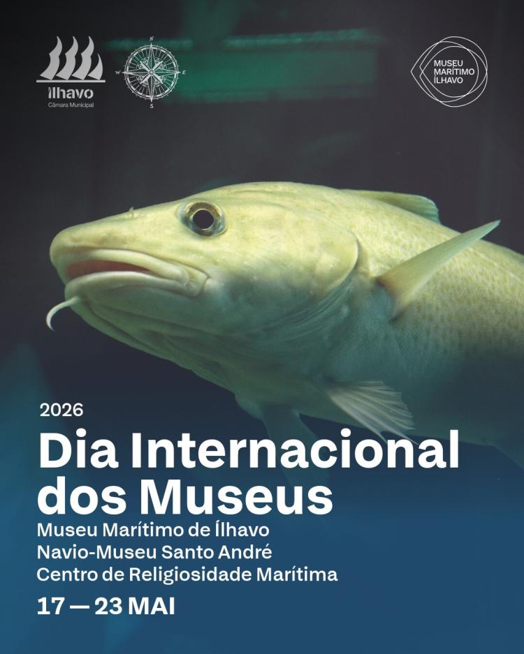 Dia Internacional dos Museus