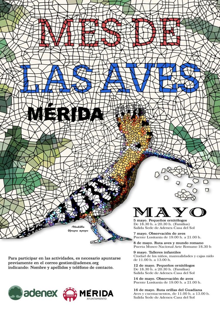 Mes de las Aves 2026