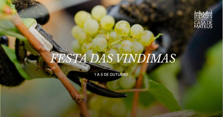 FESTA DAS VINDIMAS